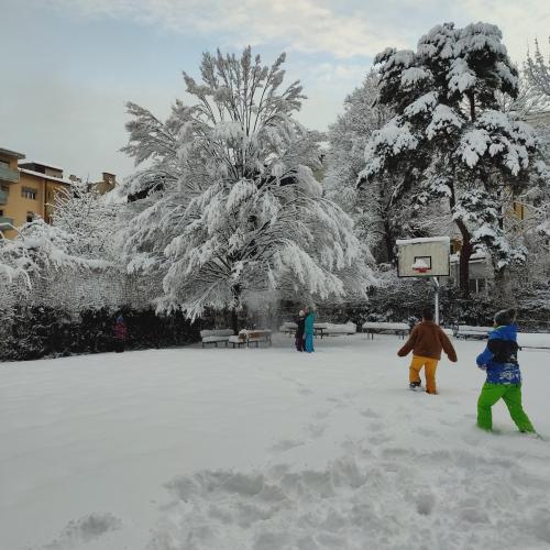 Schnee2b