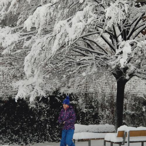 Schnee2b
