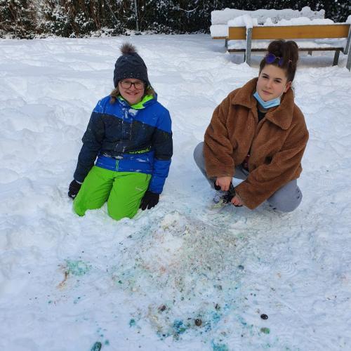 Schnee2b
