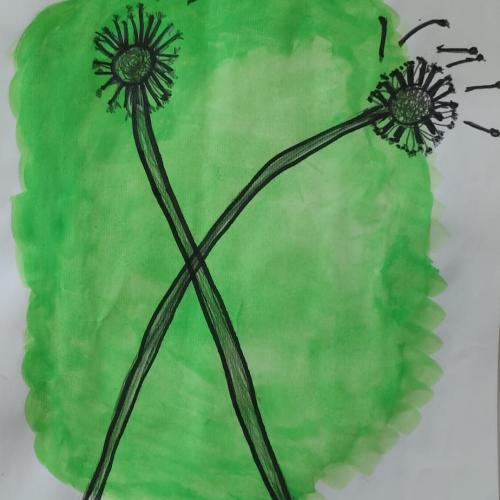 Pusteblume1a