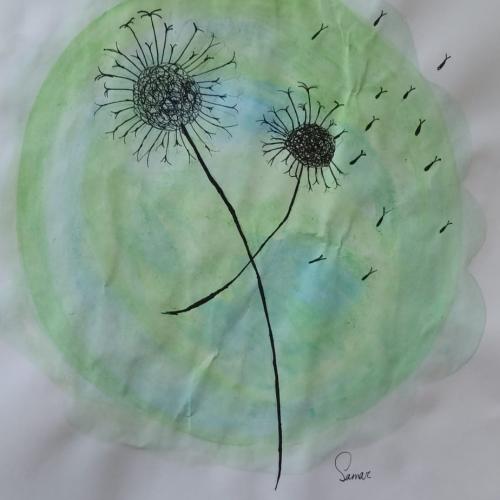 Pusteblume1a