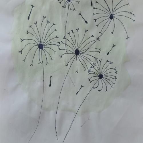 Pusteblume1a