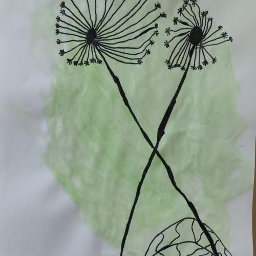 Pusteblume1a