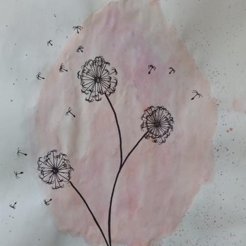 Pusteblume1a