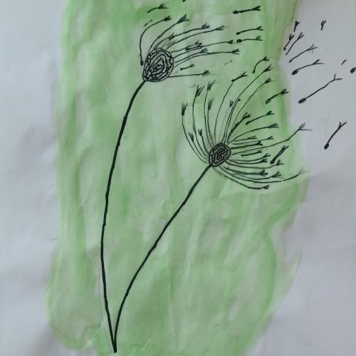 Pusteblume1a