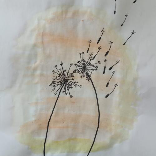 Pusteblume1a