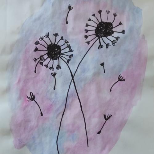 Pusteblume1a