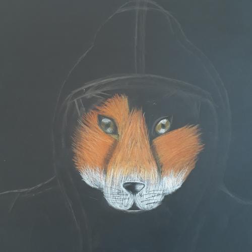 hoodies3b