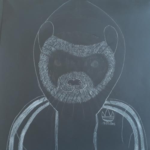 hoodies3b
