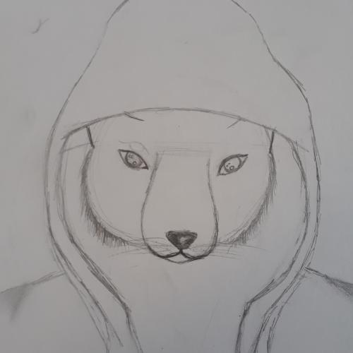 hoodies3b