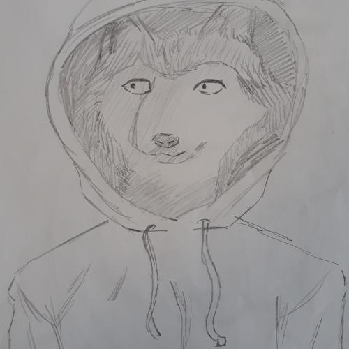 hoodies3b