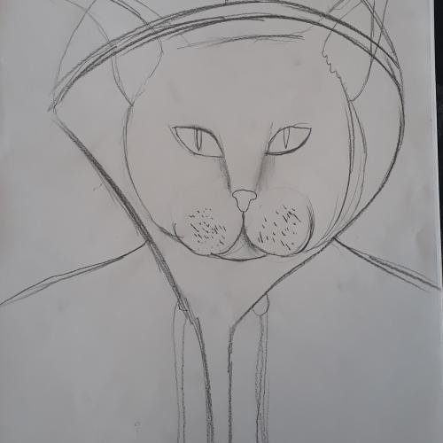 hoodies3b