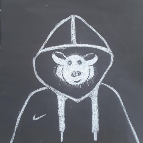 hoodies3b