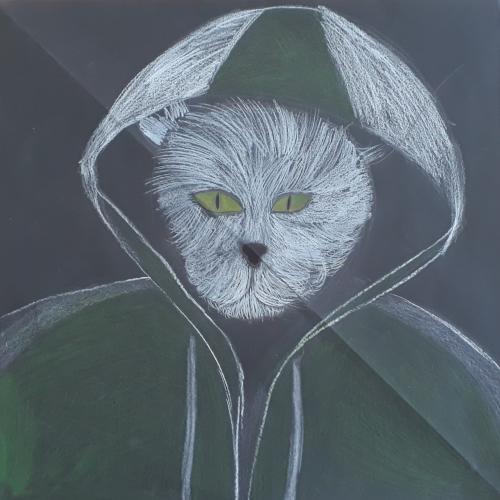 hoodies3b