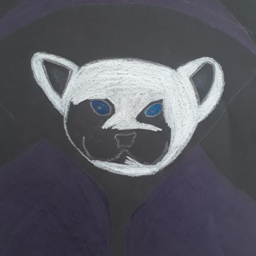 hoodies3b