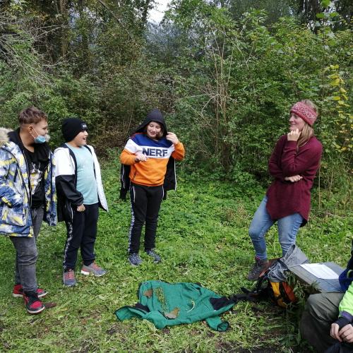 Leckeres auf der Wiese und im Wald