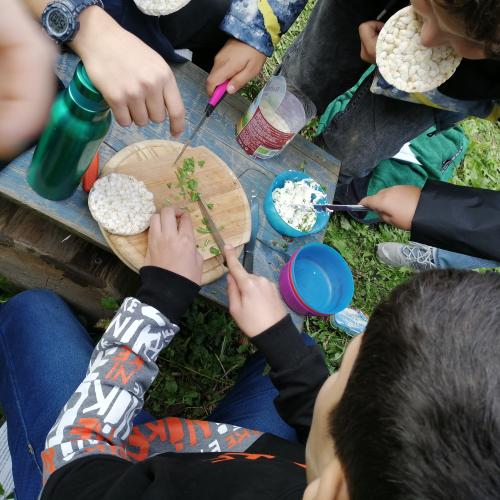 Leckeres auf der Wiese und im Wald