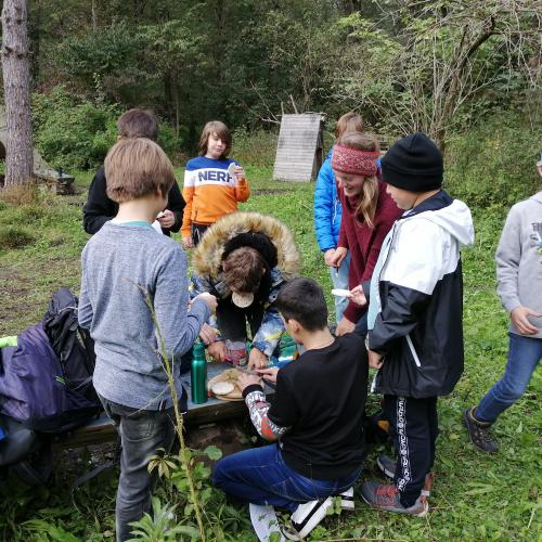 Leckeres auf der Wiese und im Wald