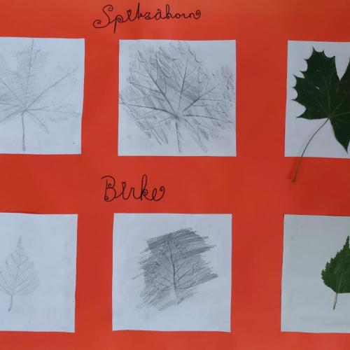 Blättertrilogie2a