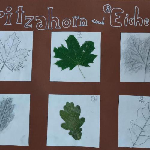 Blättertrilogie2a