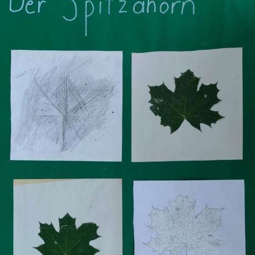 Blättertrilogie2a