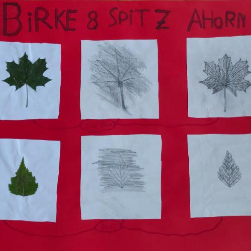 Blättertrilogie2a