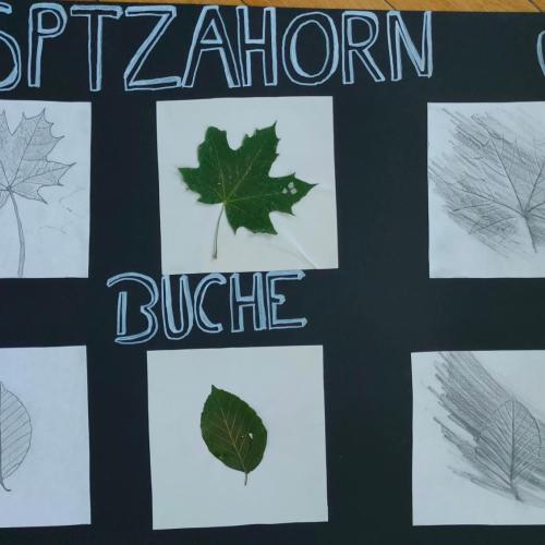 Blättertrilogie2a