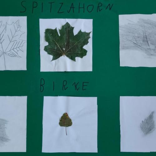 Blättertrilogie2a