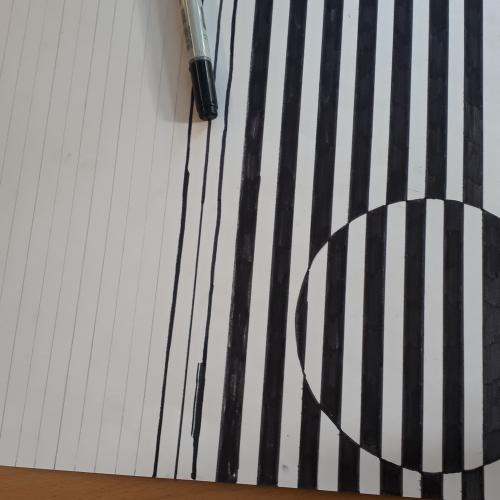 Zebras4b2122