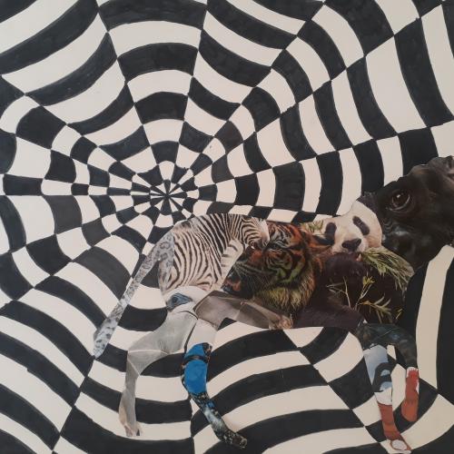 Zebras4b2122