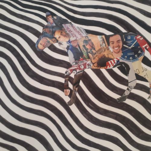 Zebras4b2122