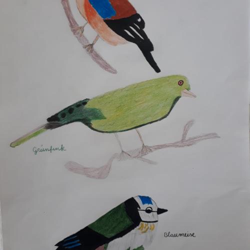 Vogel1a22