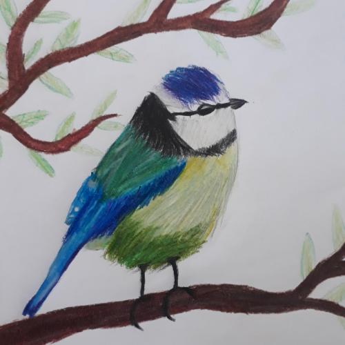 Vogel1a22
