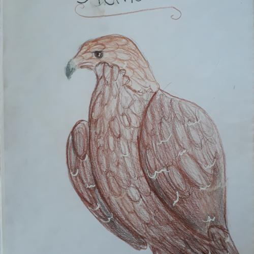 Vogel1a22