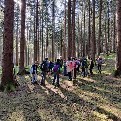 Waldtag