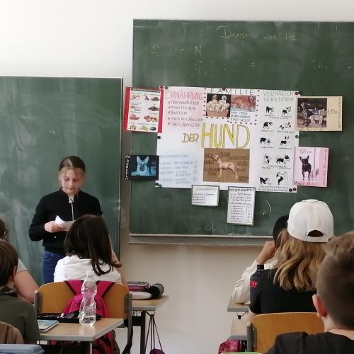 Präsentation Hund