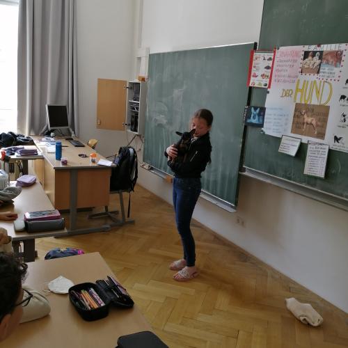 Präsentation Hund