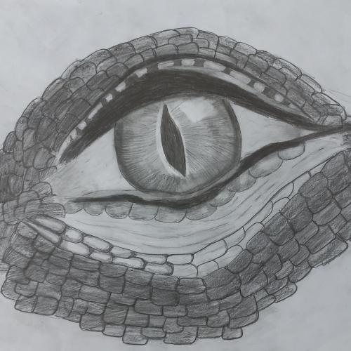 DRAGON EYES