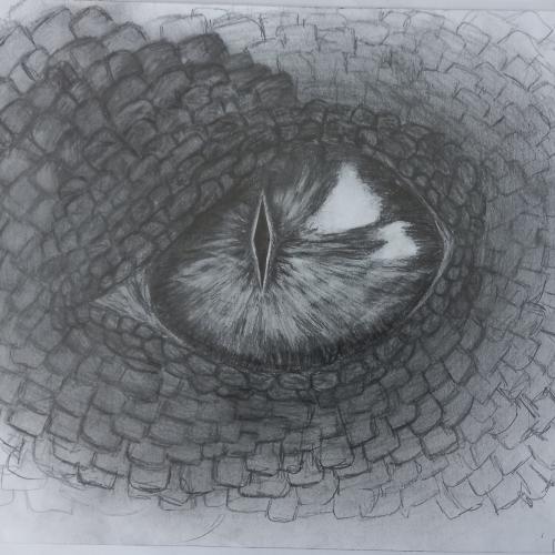 DRAGON EYES