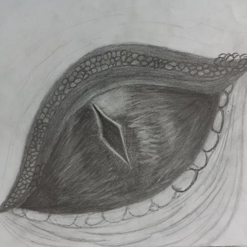 DRAGON EYES