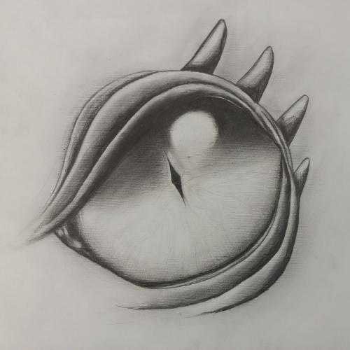 DRAGON EYES