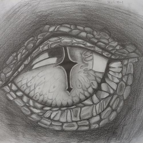 DRAGON EYES