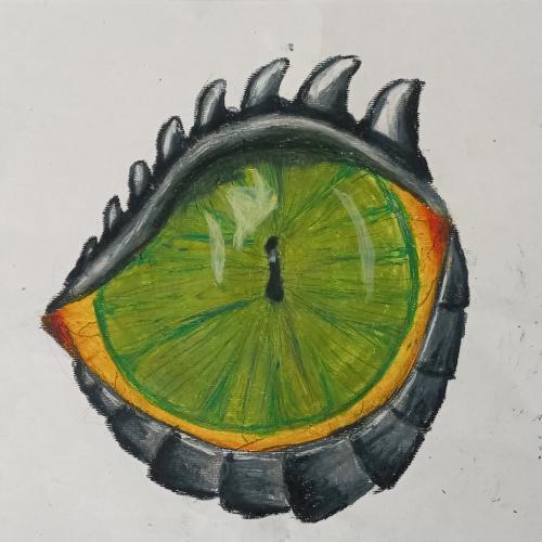 DRAGON EYES