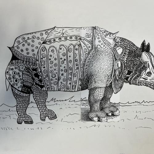 Rhino