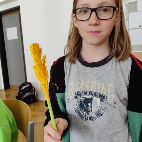 Muttertagsblumen