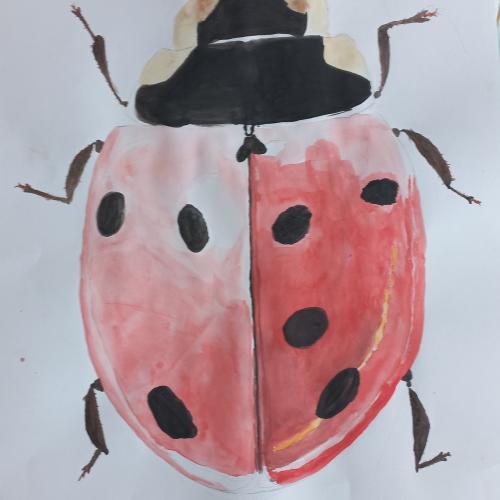 Die Schüler*innen der 4a malten ihre Insekten supergroß, denn supergroß ist ihre Bedeutung für unsere Umwelt.