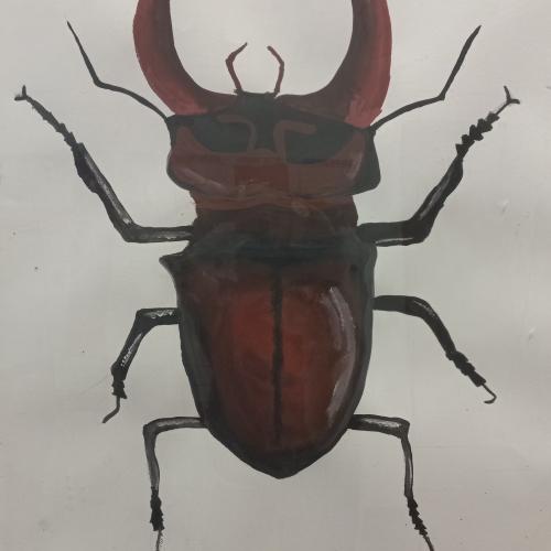 Die Schüler*innen der 4a malten ihre Insekten supergroß, denn supergroß ist ihre Bedeutung für unsere Umwelt.