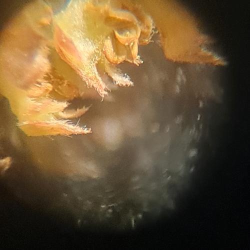 20240221_101521.jpg
