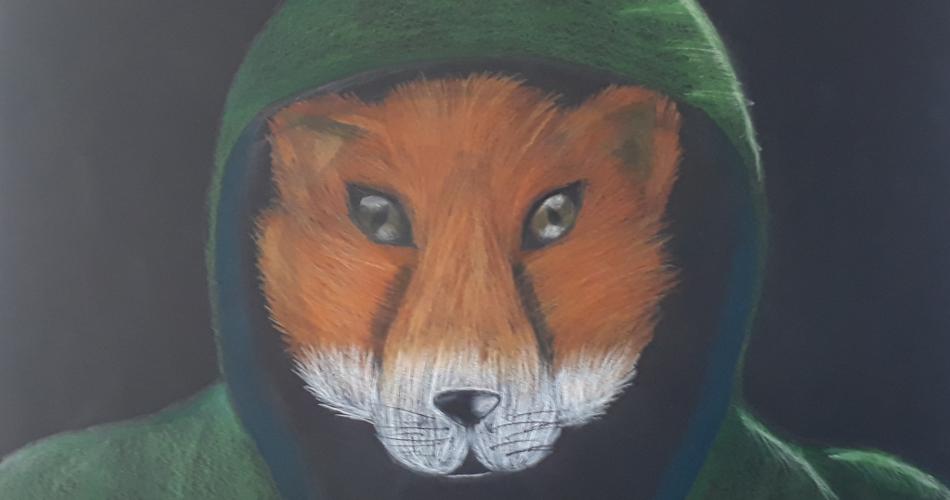 hoodies3b