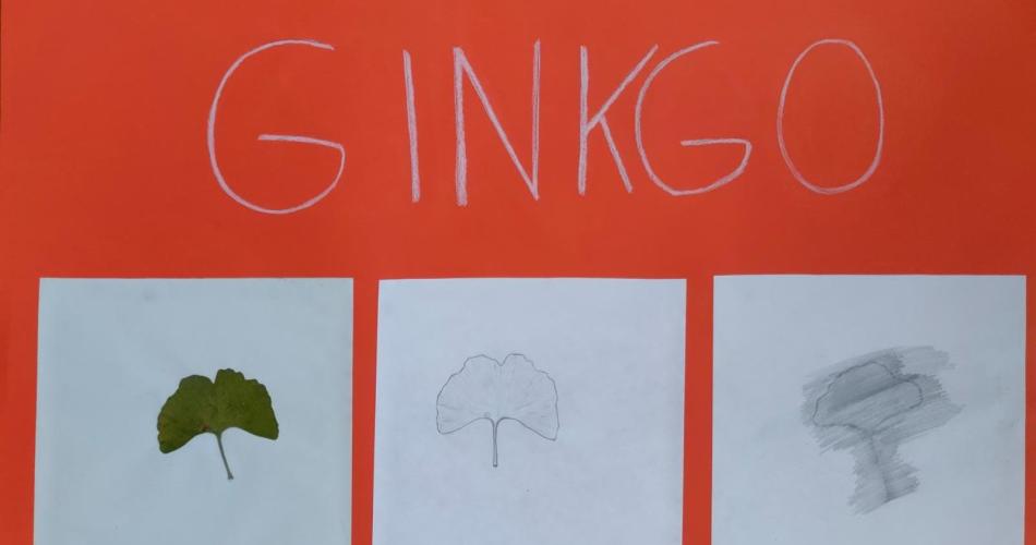 Blättertrilogie2a